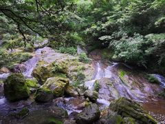 -尧治河旅游度假区