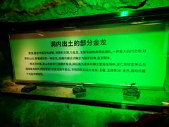 -句容茅山景区