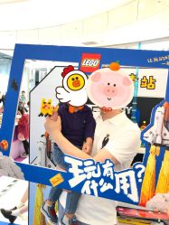 -乐高授权专卖店(华采天地店)