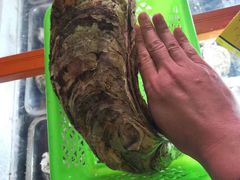 -土蚝·高压锅生蚝(百姓美食街店)