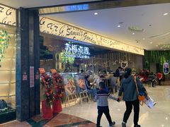 -苏梅花园(群星城店)