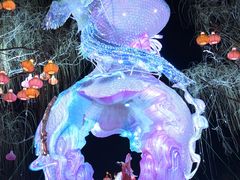 -淄博花灯齐彩城