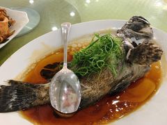 -双月饭店·20年老字号(新村店)