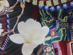 -西安市广仁寺