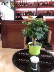 点击看大图 -尼特斯男士发型馆