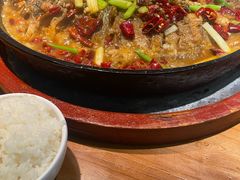 -老板恋上鱼(振华商厦店)