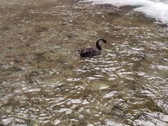 -水磨沟公园