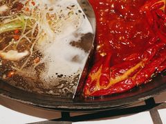 -朱光玉火锅馆(正弘城店)