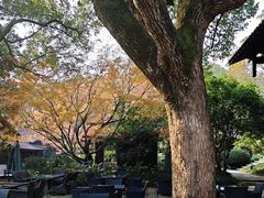 -中国茶叶博物馆(双峰馆区)
