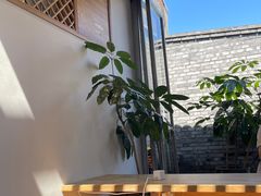 -VOYAGE COFFEE(杨梅竹店)