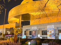 -上海博物馆(人民广场馆)