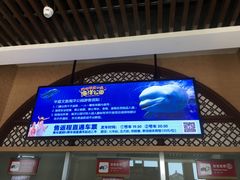 -华夏文旅海洋公园