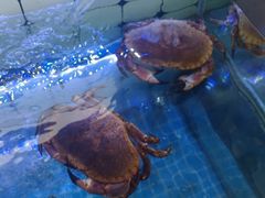 -日照大牌檔•小船海鲜(万平口店)