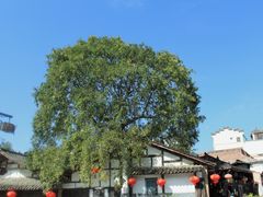 -秦巴石锅鱼(文化南路店)