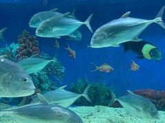 -成都浩海立方海洋公园