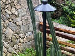 -MOJ coffee(瓯海泽雅水碓坑店)