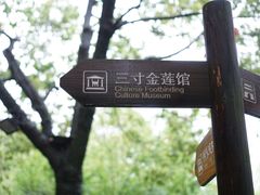 -乌镇景区