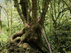 -西岭雪山大飞水景区