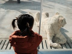 -南京金牛湖风景区