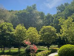 -上海佘山国家森林公园天马山园