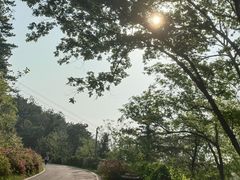 -木兰云雾山
