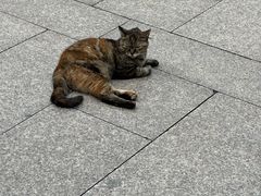 -龙华寺