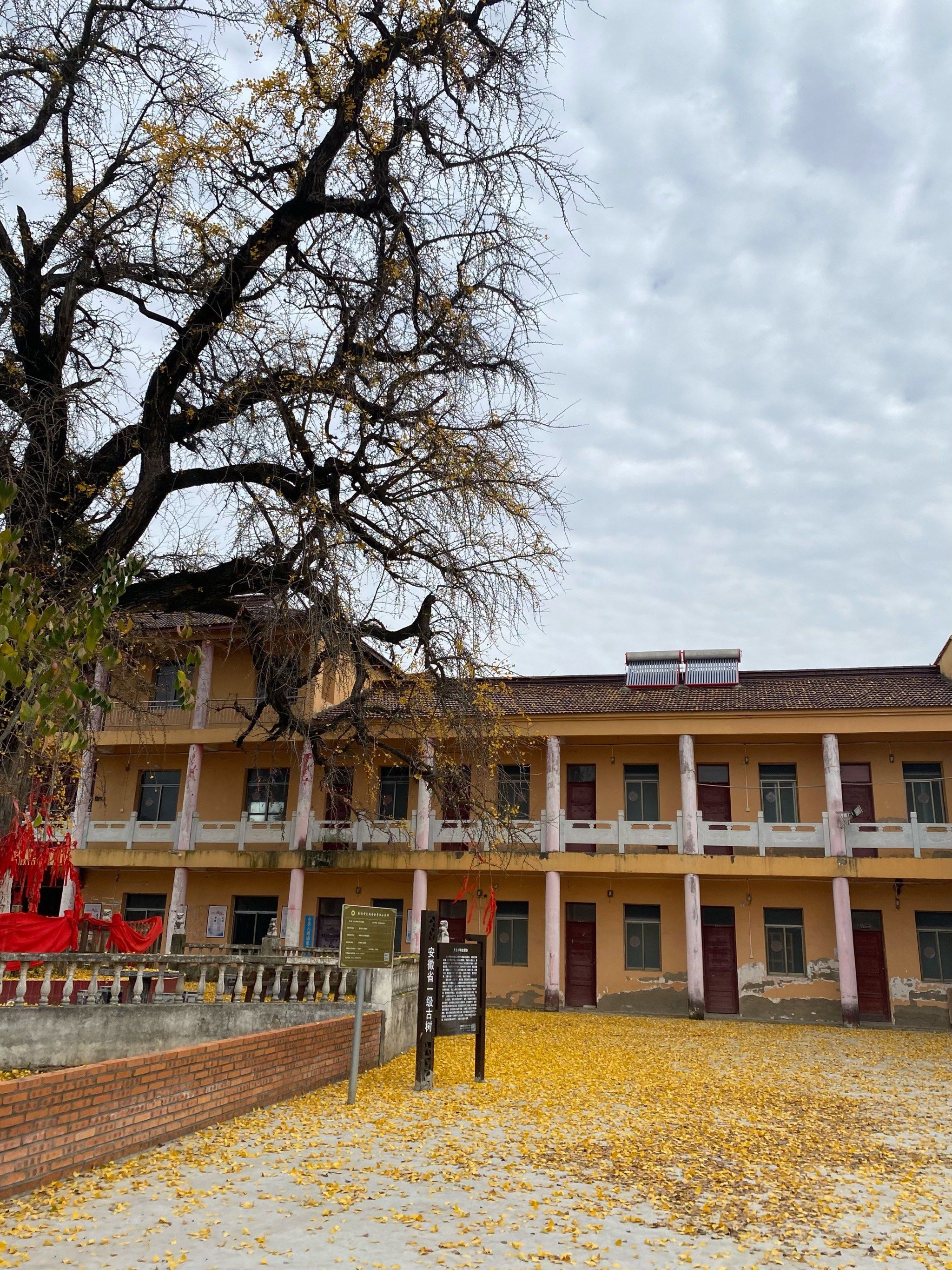 巢湖苏湾镇天台禅寺