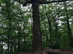 -昆嵛山石门里景区