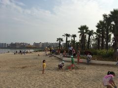 -九龙湖公园