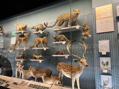 -浙江自然博物院(杭州馆)
