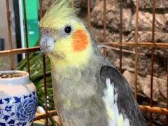 -秋食青山黛·私房菜(梅湾街店)