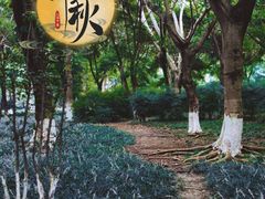 -沙河三洞古桥公园