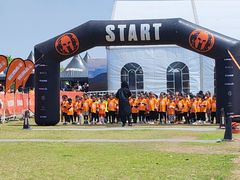 -春花秋色城市公园