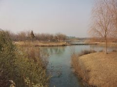 -淇河国家湿地公园