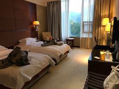 -咸宁万豪温泉谷度假区