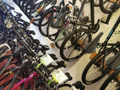 -美利达自行车(天通西苑一区店)