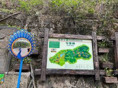 -西双版纳原始森林公园