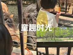 -南昌动物园