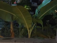 -山色西餐·柴火烤披萨