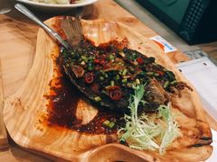 -塔哈尔·新疆盛宴(城西银泰店)