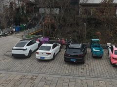 -紫藤园·天目湖大鱼头(南山竹海店)