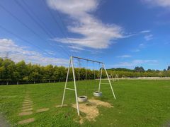 -紫颐香薰山谷景区