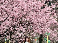 -南山植物园