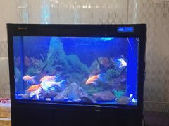 -宜昌富力皇冠假日酒店·咖啡1号西餐厅