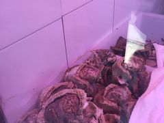 -洪记白水羊头(留学路店)