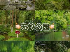 -成都市活水公园