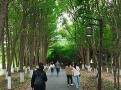 -苏州太湖国家湿地公园