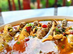 -呼吸森林·生态农庄农家乐私房菜