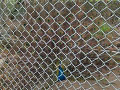 -如皋市龙游湖欢乐世界