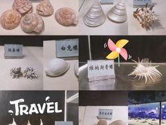 -广东惠东海龟国家级自然保护区